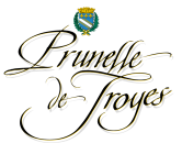 prunelleDeTroyes-logo-noir-sansOmbre